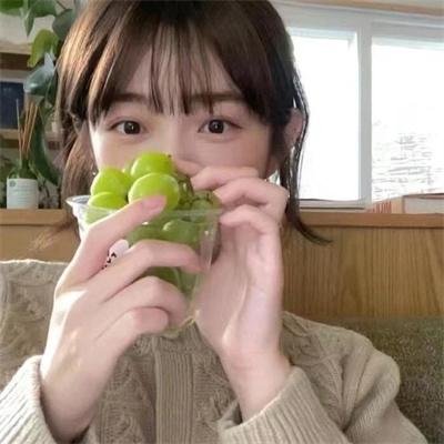 严总你的小玫瑰又作妖了